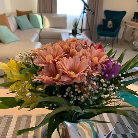 Appartement Sirios *