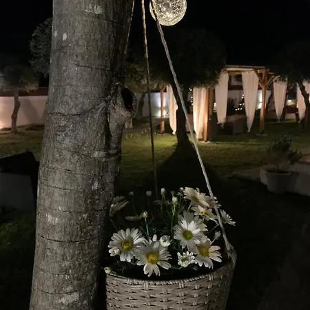 Sirios Apartamento *