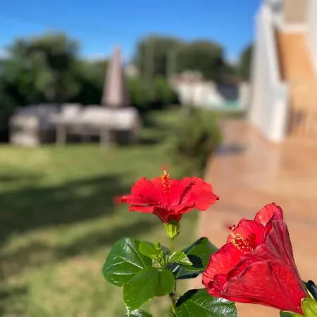 Sirios Acharavi (Corfu)