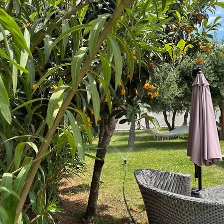 Sirios Acharavi (Corfu)