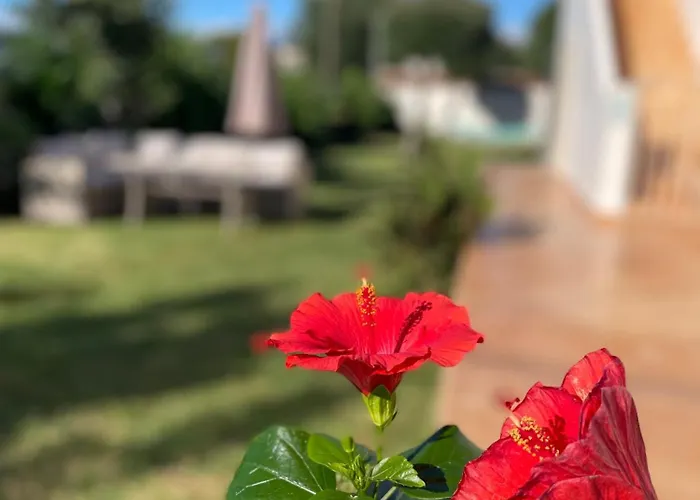 Sirios Acharavi (Corfu)